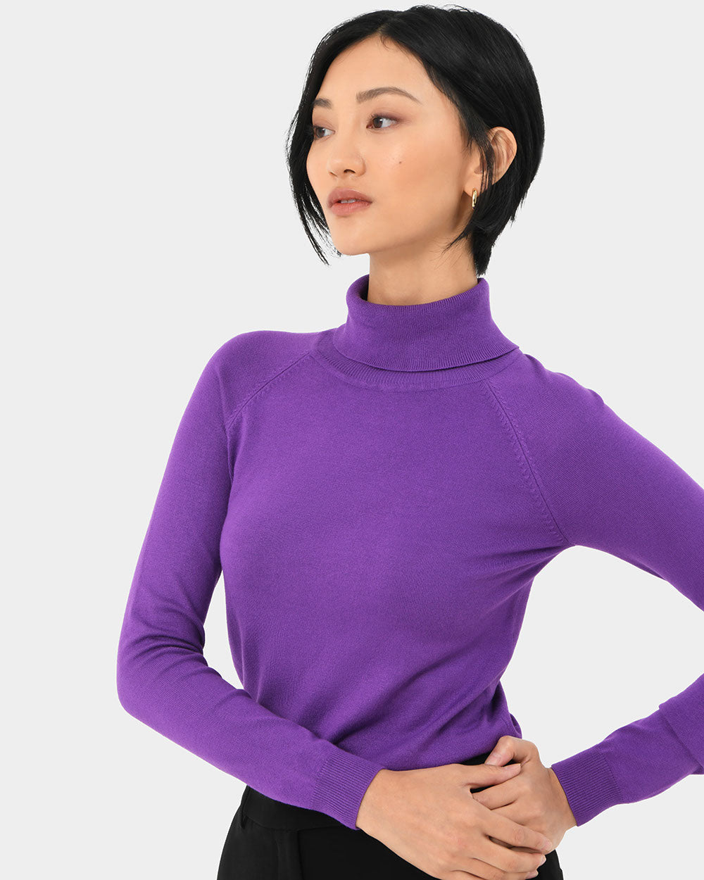 Clarisse Turtleneck Sweater