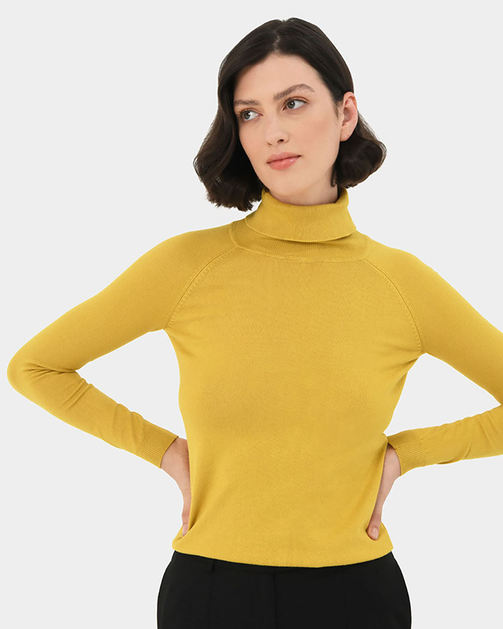 Clarisse Turtleneck Sweater