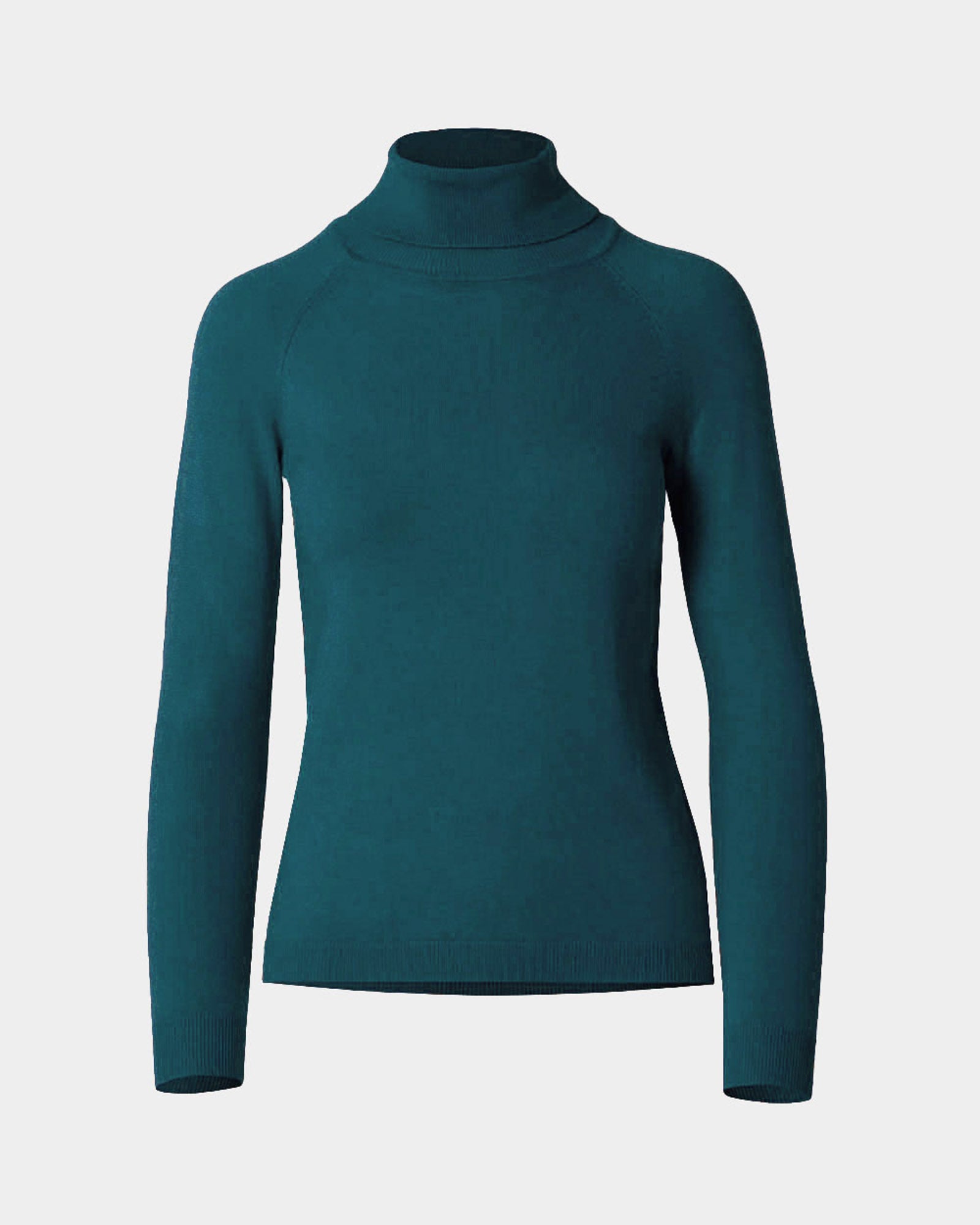 Clarisse Turtleneck Sweater