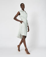 Daria Sleeveless Shirt Dress