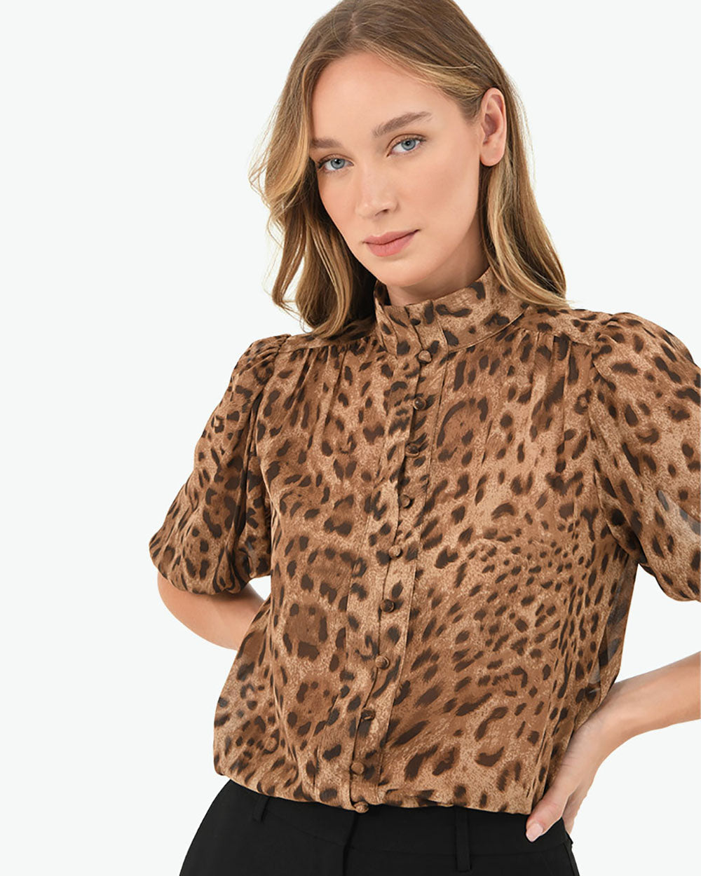 Aleen Animal Print Blouse