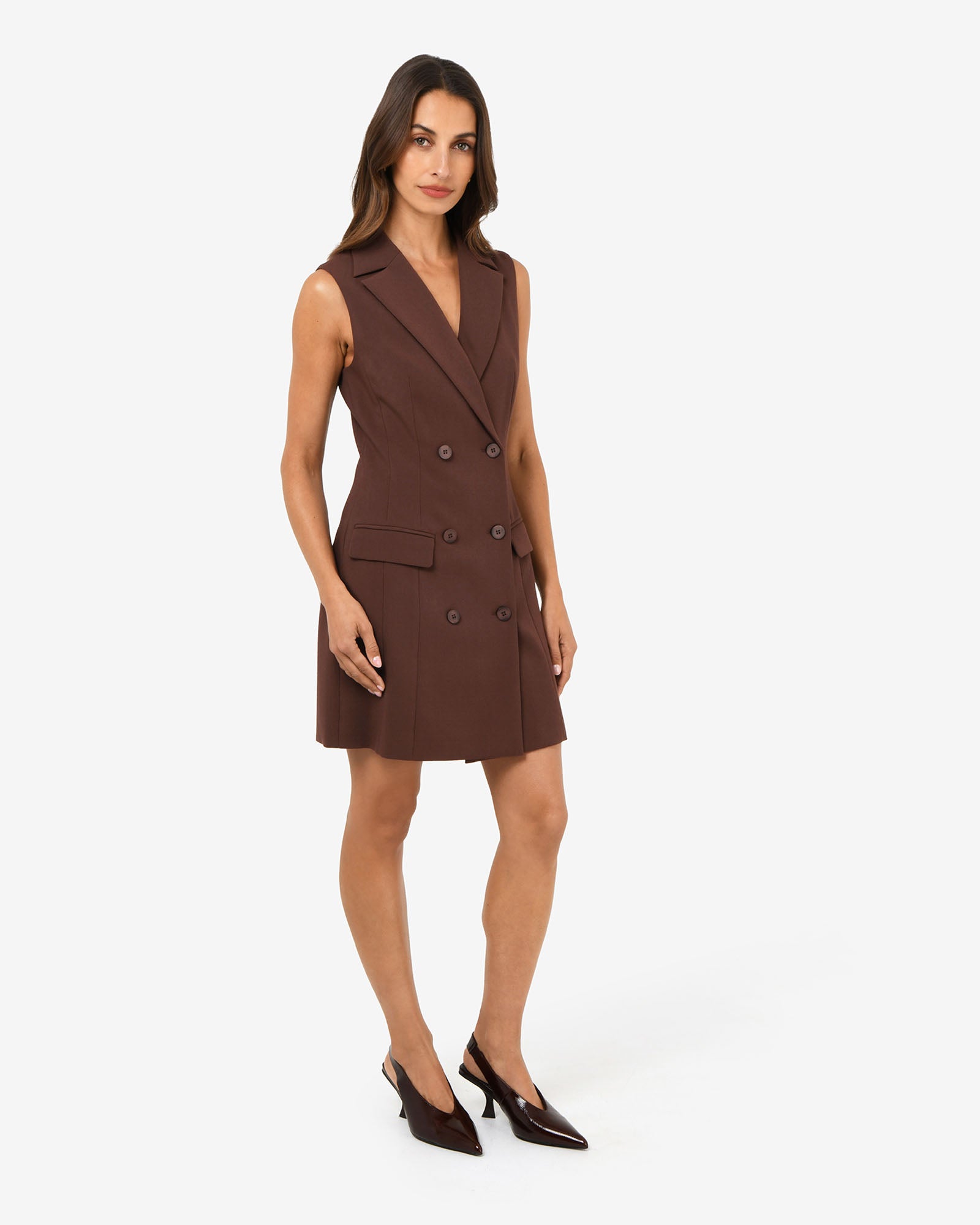 Nikki Double Breasted Dress