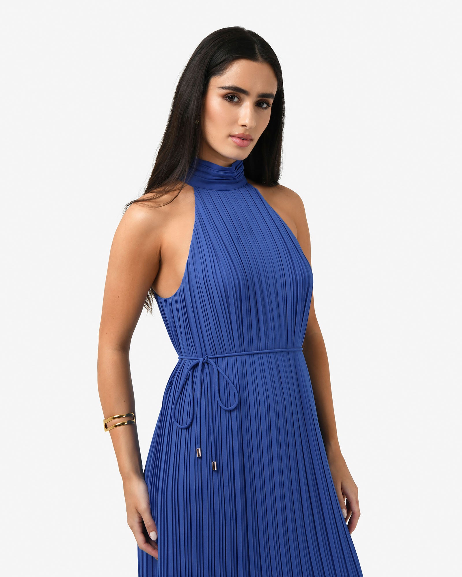 Shelly Chiffon Pleated Dress