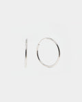 Darlyn Silver Earrings
